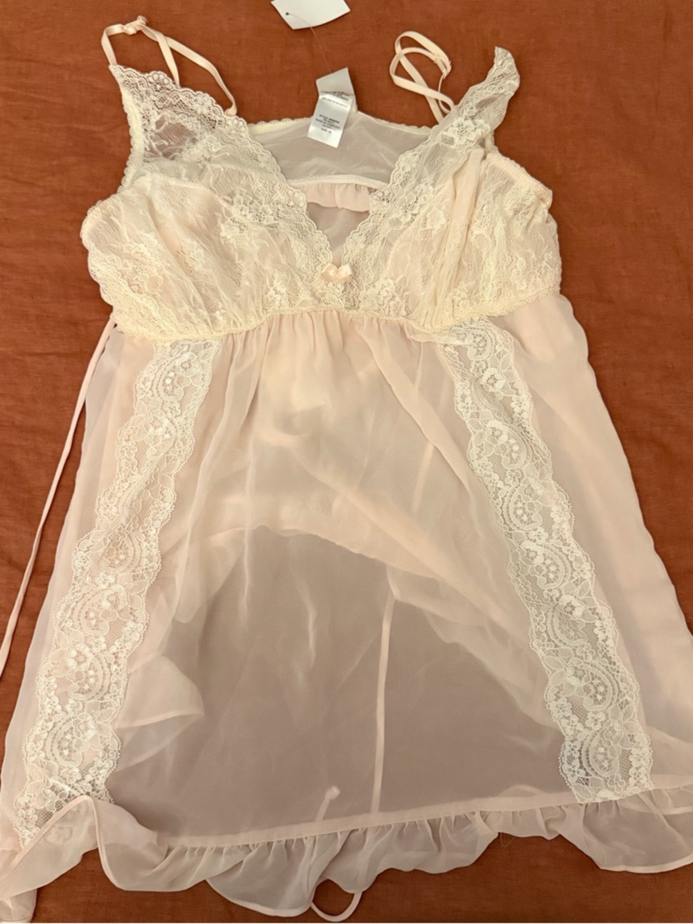 In Bloom | Sheer Lace Chemise Nightgown - Blush Pink